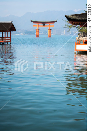 Otorii的豐滿和潮流 Otorii的豐滿和潮流 47425310