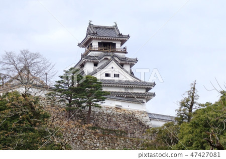 A castle tower of Kochi Castle 47427081