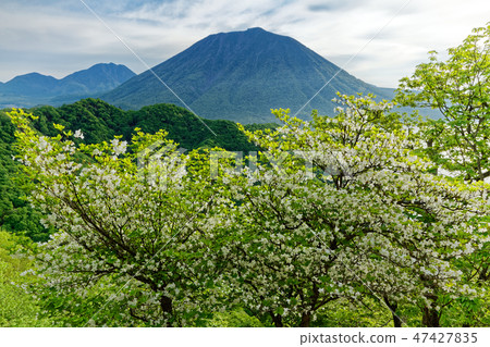 從城山山脊線綻放看見的男性山 從城山山脊線綻放看見的男性山 47427835