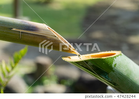 Shioshi Odoshi 47428244