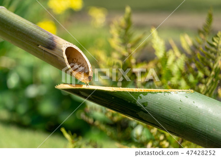 Shioshi Odoshi 47428252