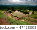 Srilanka Sigiriyarock Sigiriya Rock Sri Lanka 47428803