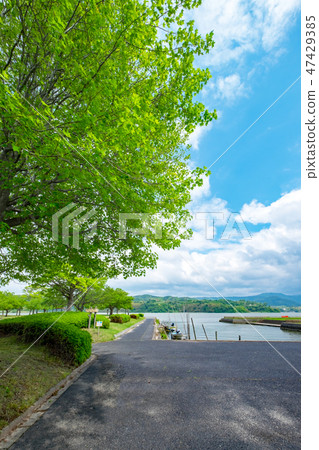 Around Togoi pond in early summer 47429385