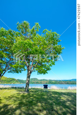 Around Togoi pond in early summer 47429397