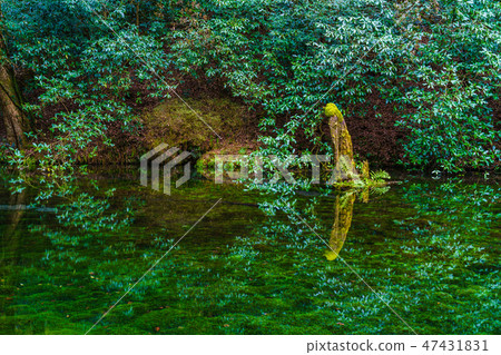 Ikeyama Water Source Morning Scenery [Mountain Village in Aso County, Kumamoto Prefecture] 47431831