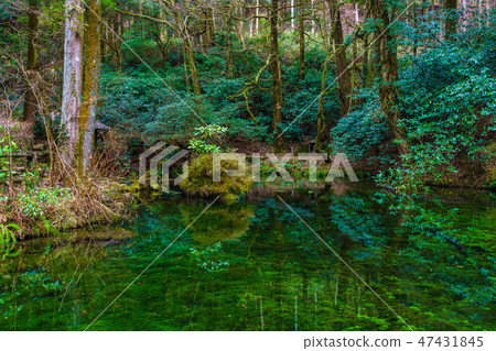 茨城縣水源早晨風景[熊本縣麻生縣的山村] 47431845