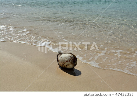 Miyakojima / Beach of the beach Miyakojima / Beach of the beach 47432355