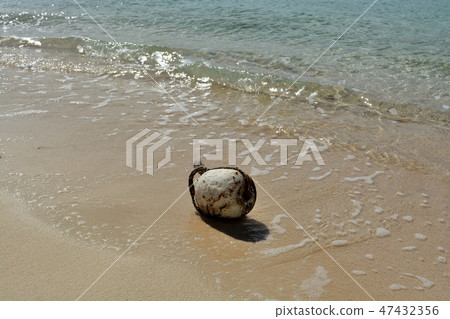 Miyakojima / Beach of the beach Miyakojima / Beach of the beach 47432356