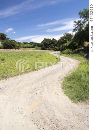 Field Field 47432910