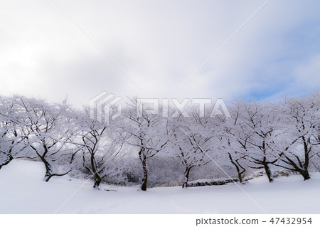 下雪的公園 47432954