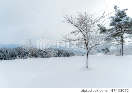Snowy park 47433072