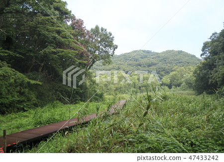 Small retail 47433242