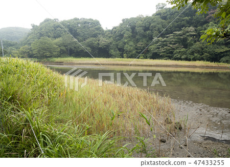 Small retail 47433255