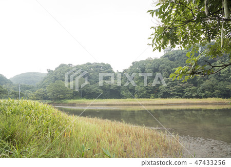 Small retail 47433256