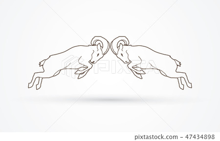 Two Ibexes fighting graphic vector 47434898