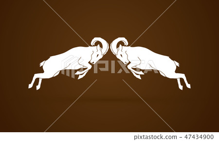 Two Ibexes fighting graphic vector Two Ibexes fighting graphic vector 47434900