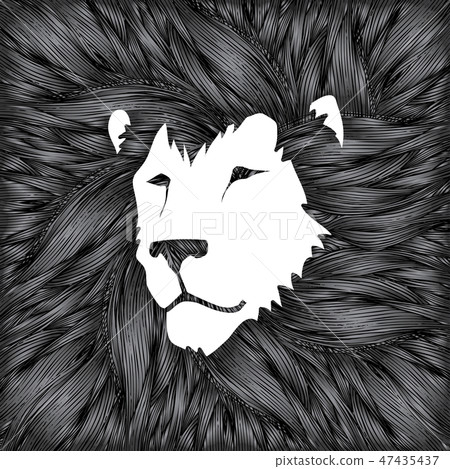 Lion head, Leo head cartoon graphic vector 47435437