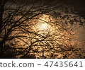 Gyeongnam Gimhae Hwangpo Stream sunrise 47435641