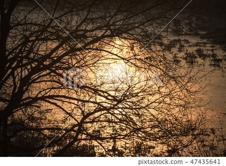 Gyeongnam Gimhae Hwangpo Stream sunrise 47435641