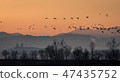 Gyeongnam Gimhae Hwangpo Stream sunrise 47435752