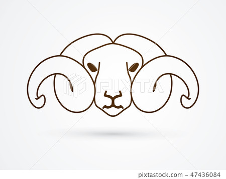 Sheep head with big horn graphic vector 47436084