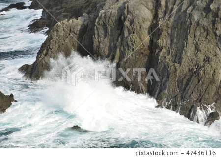 [Hyogo Prefecture Kasumi Coast] Imagoura/Ohiki's Nose Winter rough seas 47436116