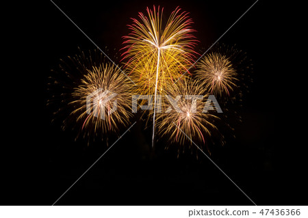 Colorful of fireworks in holiday new year Colorful of fireworks in holiday new year 47436366