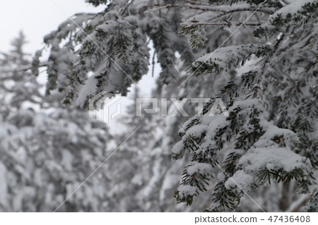 雪景 雪景 47436408