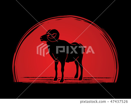 Sheep with big horn standing graphic vector Sheep with big horn standing graphic vector 47437526