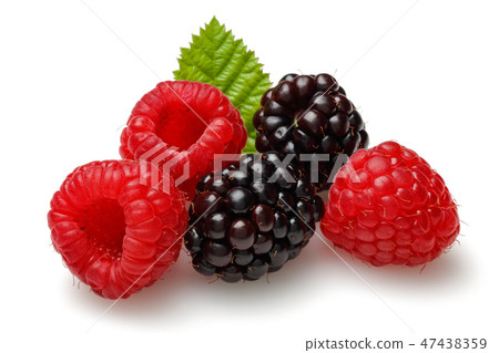 Raspberries and blackberries with leaf 47438359