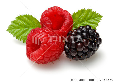 Raspberries and blackberry with leaves 47438360