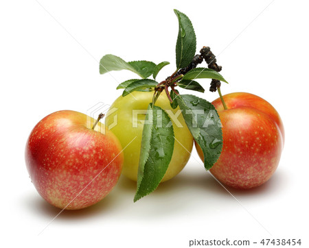 Red and yellow plums with leaves 47438454