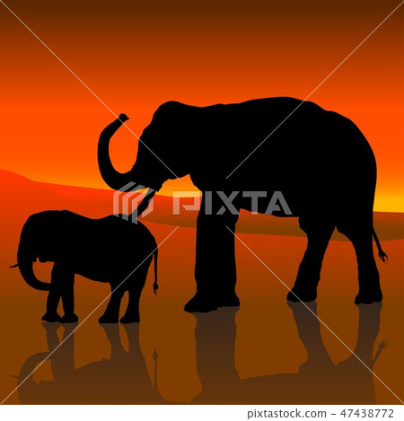 Silhouetted Adult and Baby Elephant Silhouetted Adult and Baby Elephant 47438772