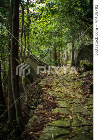 Outdoor Canyon trekking hiking Outdoor Canyon trekking hiking 47438792