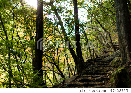 Outdoor Canyon trekking hiking Outdoor Canyon trekking hiking 47438795
