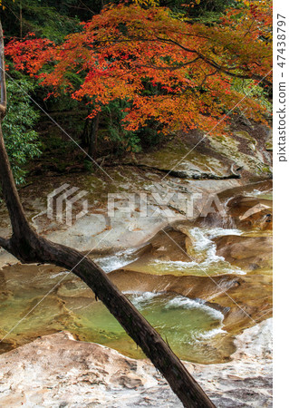 Outdoor Canyon trekking hiking Outdoor Canyon trekking hiking 47438797