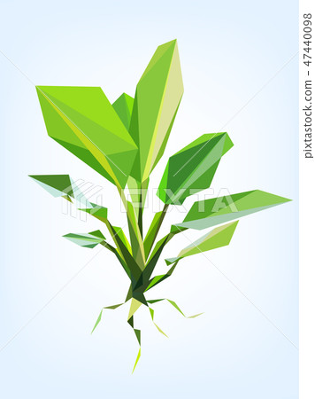 Polygon vector dieffenbachia tree 47440098