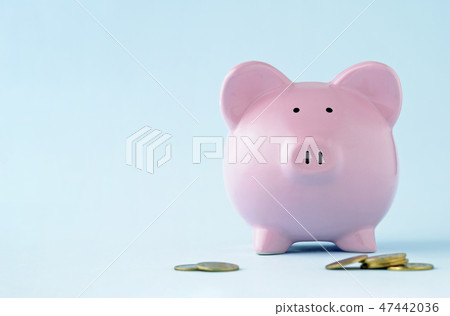 Pink piggy face on over a blue background 47442036