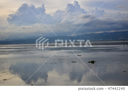 Details of Mactan Landscape 47442240