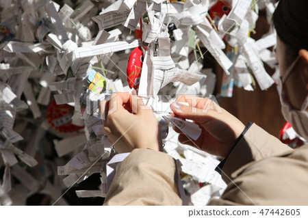 Woman tying fortunes, rear view 47442605