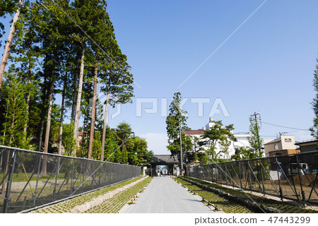宮城 宮城 47443299