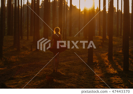 Young girl in red dress staying on the stump in forest 47443370