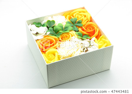 Flower box 47443481