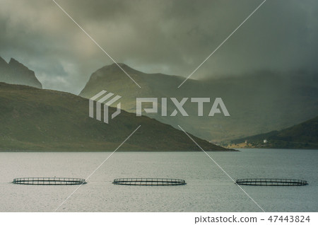 Beautiful view to the fish farm and mountains  47443824