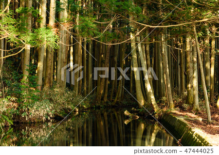 Ushidogawa Ushidogawa 47444025