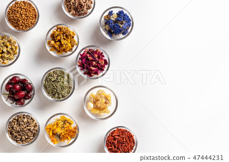 Dried herbs in bowls on a white background Dried herbs in bowls on a white background 47444231