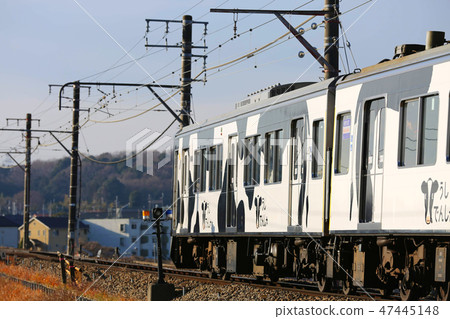 Cattle officer 5 47445148