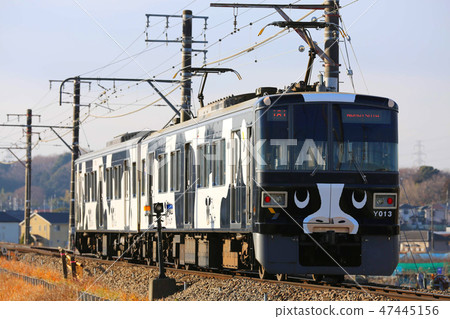 Cattlemouse in the bush 14 47445156