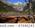 Autumn Takesawa 47446243