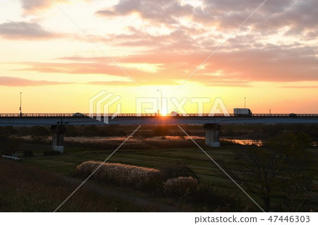 Evening glow Sky · Sparkling panicle of Susuki Evening glow Sky · Sparkling panicle of Susuki 47446303